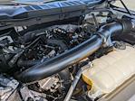 2024 Ford F-150 SuperCrew Cab 4WD Pickup for sale #U253082A - photo 34