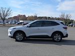 New 2026 Ford Escape ST-Line for sale #U262011 - photo 7