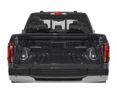 New 2025 Ford F-150 - photo 1