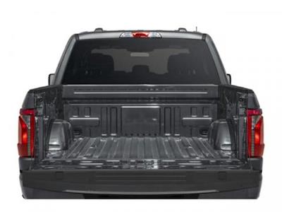 New 2025 Ford F-150 - photo 1