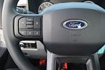 New 2025 Ford F-250 XL Regular Cab Plow Truck for sale #5509 - photo 6