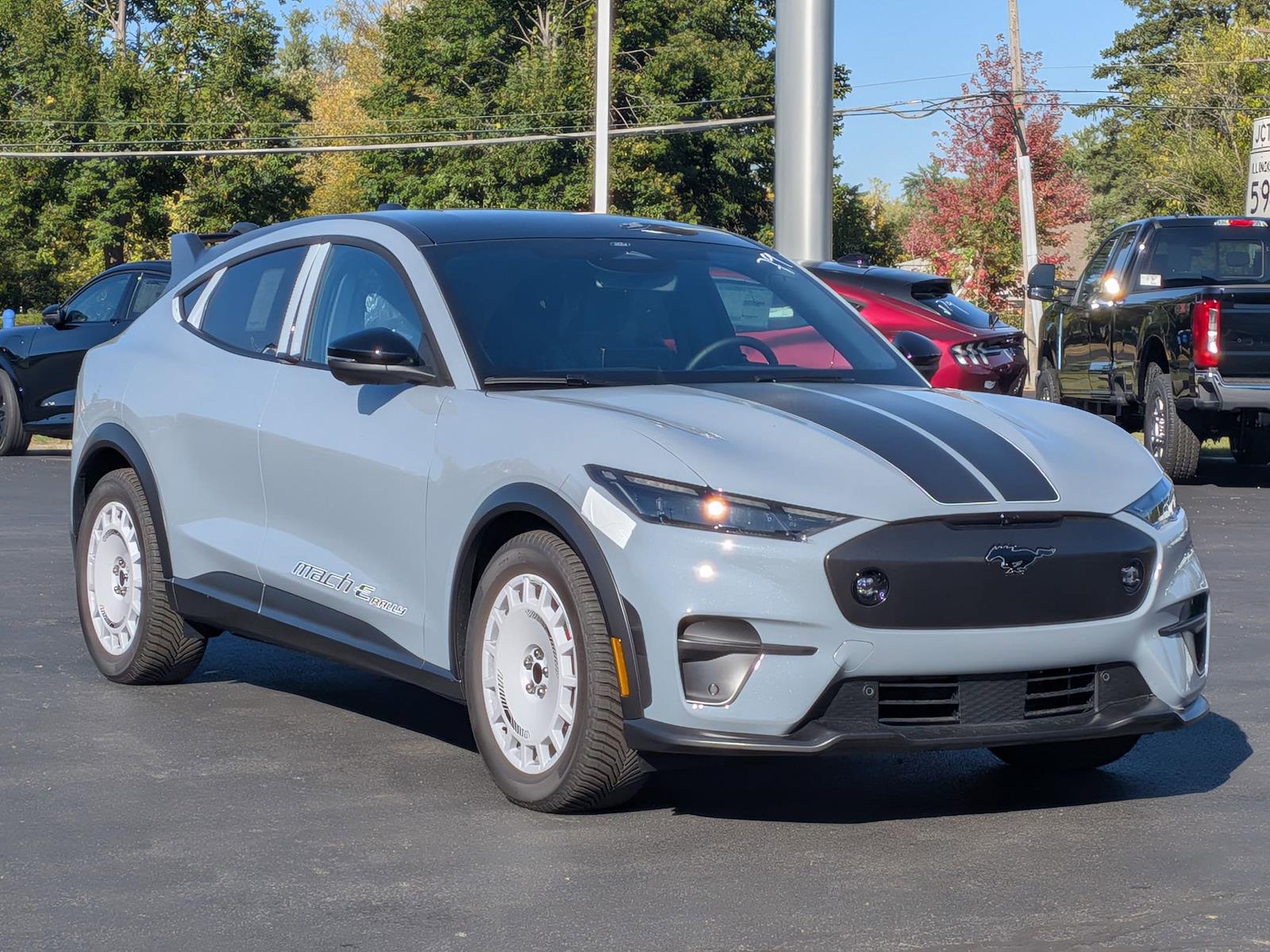 New 2025 Ford Mustang Mach-E - photo 5