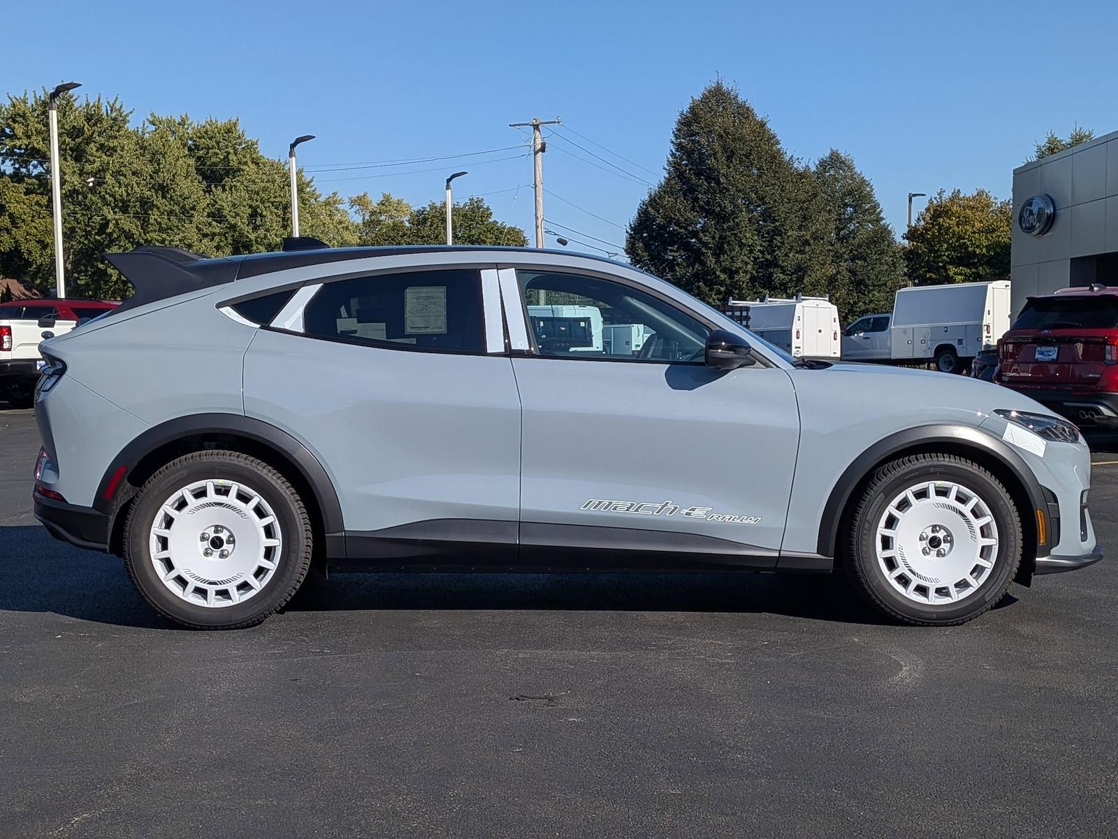 New 2025 Ford Mustang Mach-E - photo 6