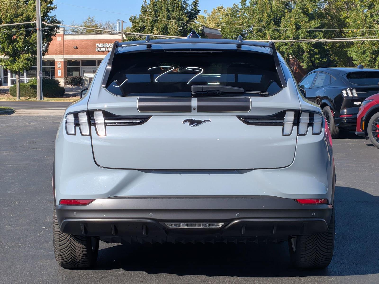 New 2025 Ford Mustang Mach-E - photo 8