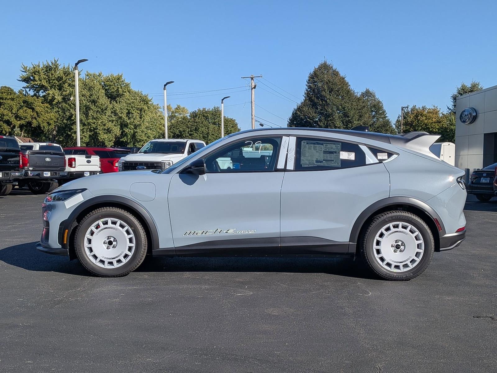 New 2025 Ford Mustang Mach-E - photo 10
