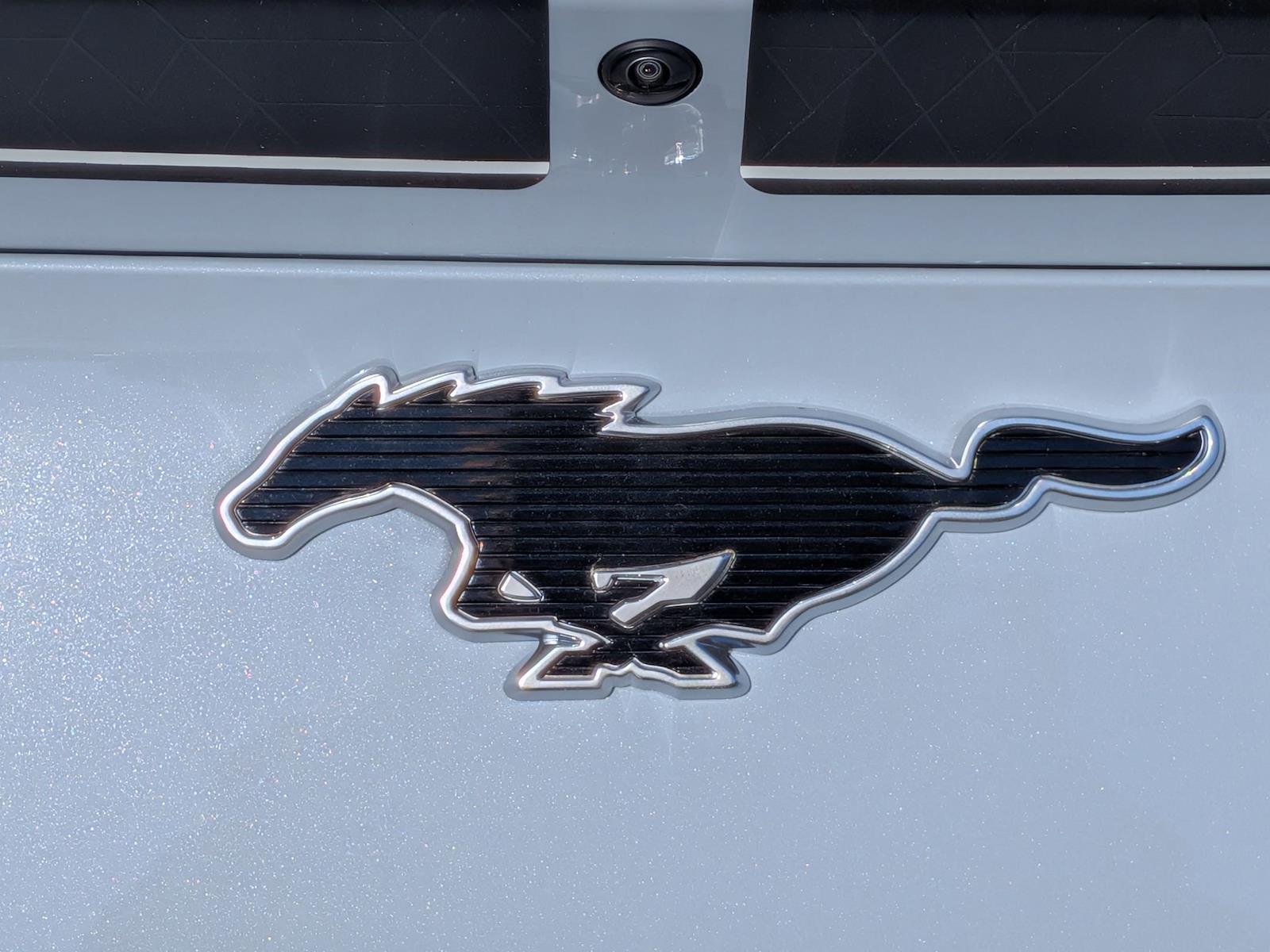 New 2025 Ford Mustang Mach-E - photo 25