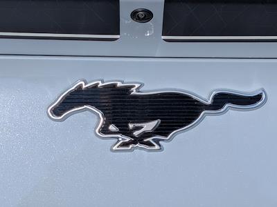 New 2025 Ford Mustang Mach-E - photo 1