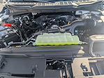 New 2025 Ford F-150 XL Regular Cab for sale #F25352 - photo 23