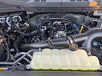 New 2025 Ford F-150 XLT SuperCrew Cab for sale #F25420 - photo 28