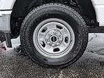 2025 Ford F-350 Regular Cab SRW 4x4 Western Plow Truck for sale #F25424 - photo 11