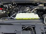 New 2026 Ford F-150 XL SuperCrew Cab for sale #F26046 - photo 28