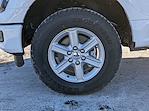 New 2026 Ford F-150 XLT SuperCrew Cab for sale #F26081 - photo 9