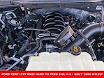 2024 Ford F-150 SuperCrew Cab 4x4 Pickup for sale #F32921 - photo 27