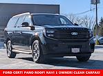 Used 2025 Ford Expedition MAX Active for sale #F32922 - photo 3