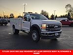 Used 2024 Ford F-450 Regular Cab Service Truck for sale #F82048 - photo 3