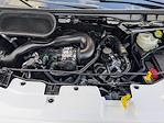 2024 Ford Transit 250 Low Roof AWD Empty Cargo Van for sale #F4350 - photo 25