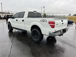 2010 Ford F-150 SuperCrew Cab 4WD, Pickup for sale #LF01136 - photo 6