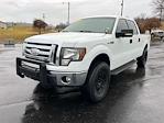 2010 Ford F-150 SuperCrew Cab 4WD, Pickup for sale #LF01136 - photo 8