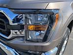 2023 Ford F-150 SuperCrew Cab 4WD Pickup for sale #LF02065E - photo 9