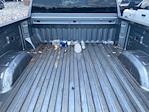 2024 Chevrolet Silverado 2500 Crew Cab 4WD Pickup for sale #LF07070E - photo 4