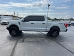 2023 Ford F-150 SuperCrew Cab 4WD Pickup for sale #LF07153P - photo 7