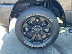 2024 Ram 2500 Crew Cab 4WD Pickup for sale #LF08197P - photo 10