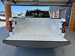 2025 Ram 1500 Crew Cab 4x4 Pickup for sale #D43276 - photo 9
