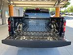 2025 Ram 1500 Crew Cab 4x4 Pickup for sale #D43277 - photo 9