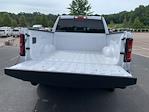 2025 Ram 1500 Crew Cab 4x4 Pickup for sale #D43294 - photo 14