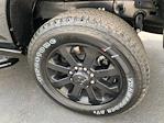 2025 Ram 2500 Crew Cab 4x4 Pickup for sale #D43308 - photo 15