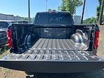 2025 Ram 1500 Crew Cab 4x4 Pickup for sale #D43310 - photo 9