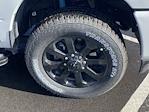 2024 Ram 2500 Crew Cab 4x4 Pickup for sale #D240723 - photo 11