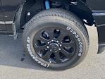 2024 Ram 2500 Crew Cab 4x4 Pickup for sale #D240728 - photo 11