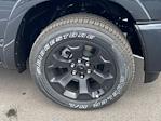 2025 Ram 1500 Crew Cab 4x4 Pickup for sale #D250520 - photo 11