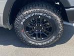 2025 Ram 1500 Crew Cab 4x4 Pickup for sale #D250531 - photo 11