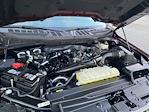 2021 Ford F-150 Super Cab RWD Pickup for sale #D250684A - photo 21