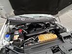 2018 Ford F-150 SuperCrew Cab 4WD Pickup for sale #D260214A - photo 18