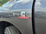 2025 Ram 2500 Crew Cab 4x4 Pickup for sale #4N4643 - photo 6