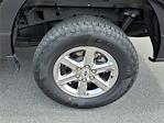 2024 Ford F-150 SuperCrew Cab 4x4 Pickup for sale #4U1768 - photo 6