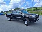 2023 Toyota Tacoma Double Cab RWD Pickup for sale #4U1919 - photo 20