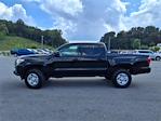 2023 Toyota Tacoma Double Cab RWD Pickup for sale #4U1919 - photo 3