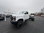 2024 Chevrolet Silverado 5500 Regular Cab DRW 4x4, Cab Chassis for sale #RH124174 - photo 12