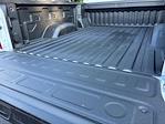 2025 Chevrolet Silverado 2500 Crew Cab 4x4 Pickup for sale #SF366881 - photo 22