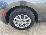 2023 Chevrolet Equinox FWD SUV for sale #156017T - photo 25
