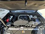 2023 Chevrolet Colorado Crew Cab 4x4 Pickup for sale #160105P - photo 31