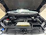 2023 Ford F-150 SuperCrew Cab 4x4 Pickup for sale #D16128T - photo 31