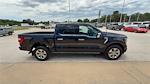2023 Ford F-150 SuperCrew Cab 4x4 Pickup for sale #D16128T - photo 9
