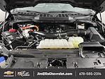 Used 2024 Ford F-150 XLT SuperCrew Cab 4WD Pickup for sale #C8598 - photo 28