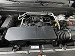2023 Chevrolet Colorado Crew Cab 4x4 Pickup for sale #C8649 - photo 62