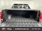 New 2024 Chevrolet Silverado EV Work Truck Crew Cab for sale #DSEV4028 - photo 48